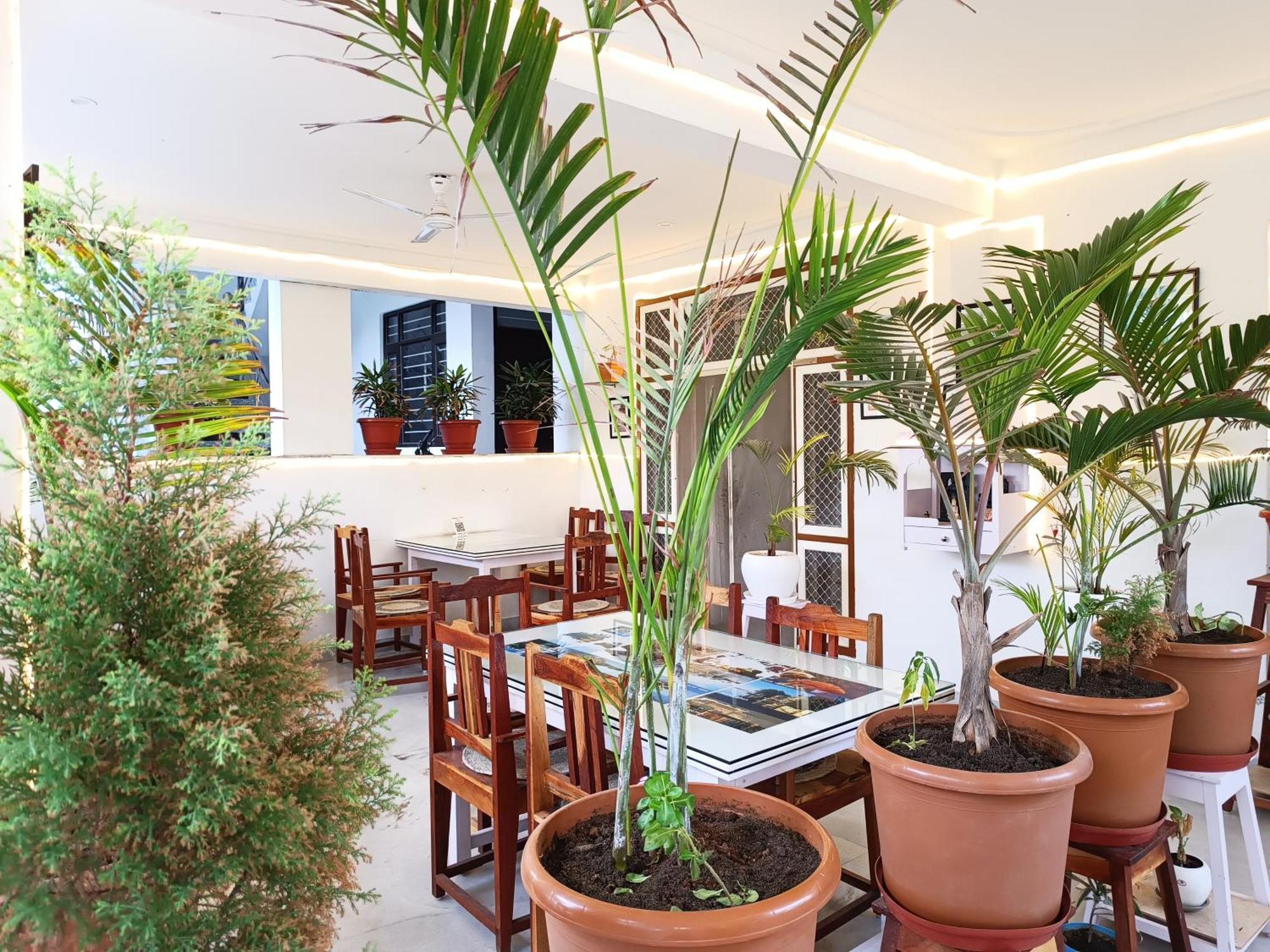 Ferienwohnung Choudhary White House Udaipur Exterior foto